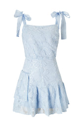 Summer Fling Mini Dress